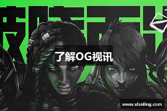 了解OG视讯